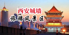 免费看女生操逼视频中国陕西-西安城墙旅游风景区