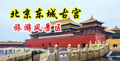 美女被插视频在线观看网站中国北京-东城古宫旅游风景区